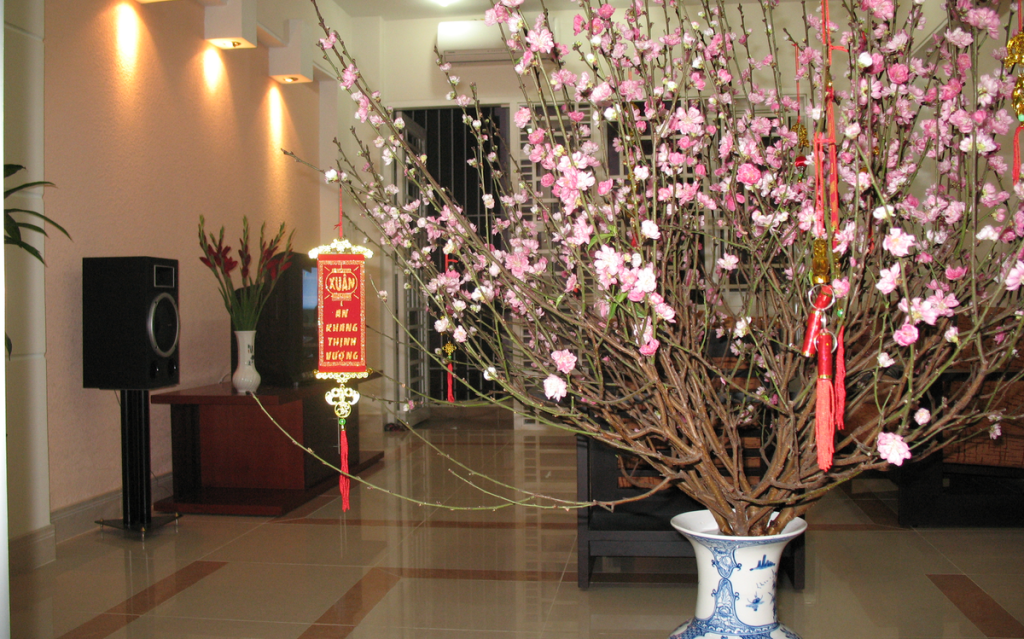 Trang trí nhà cửa thế nào cho hợp phong thủy để đón Tết Mậu Tuất nhiều tài lộc, may mắn? 1 photo1518422148896 1518422148897525097241